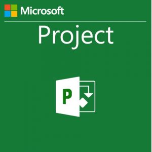Microsoft Project Offline