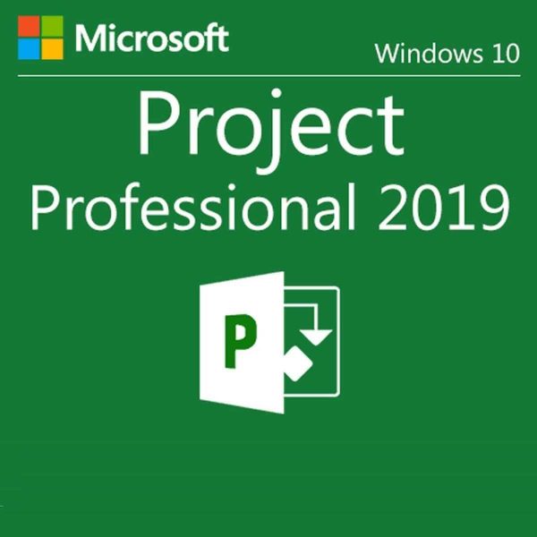 Project Profesional 2019