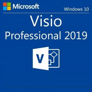 visio-profesional-2019