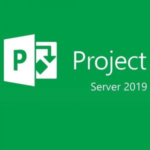 Project Server 2019